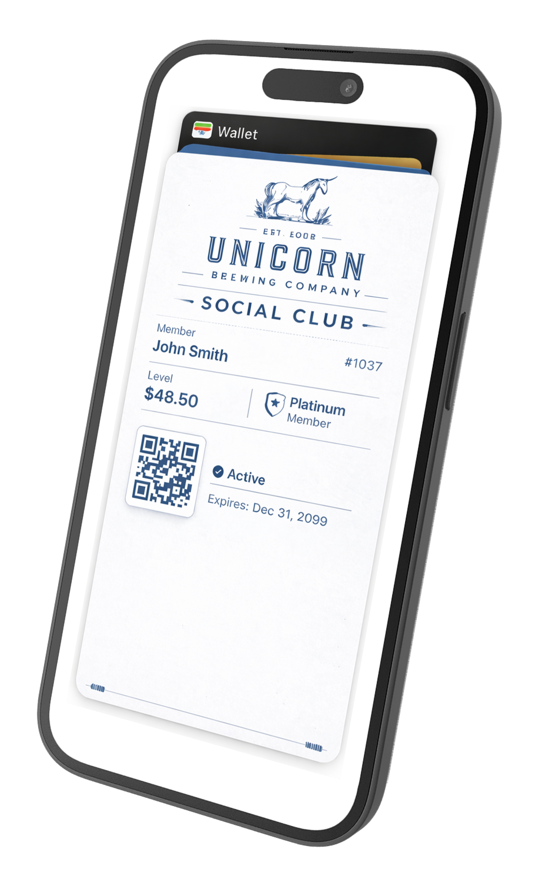 Stitch membership preview